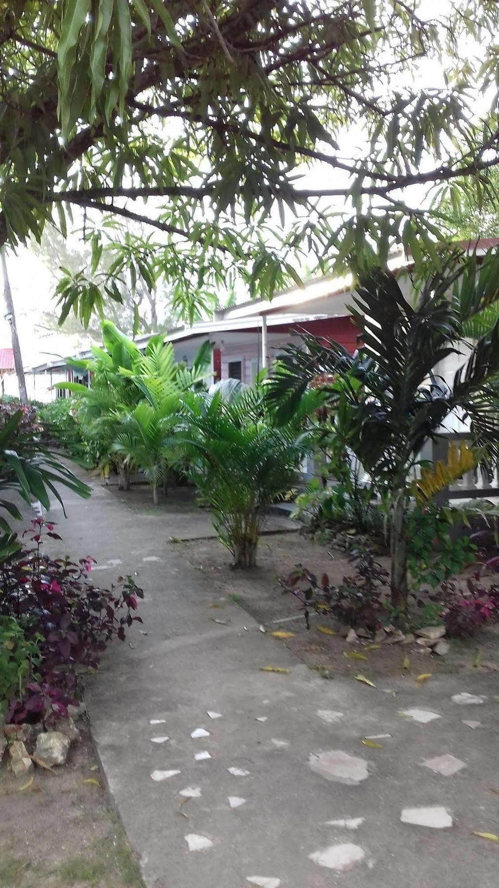 Roots Bamboo Beach Resort Negril Exterior foto